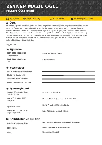 Felsefe Öğretmeni CV Örnekleri cv indir